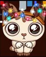 Карина majeski