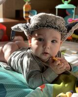 Всеволод Тіщенко