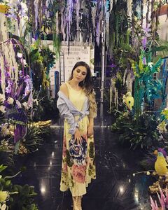 Олена Волокіткіна