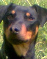 Евгений Макаров