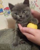 Алла Начинайло