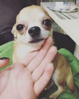 Катенька 