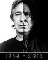 Макс Гордиенко