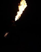 Михаил Василевский