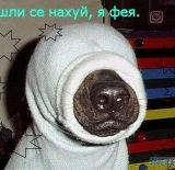 Валера Зюзин