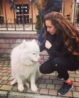 Арьяна Ахмад