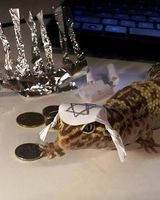 Егор Грицына