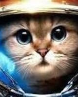 Александр Лаврик