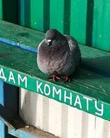 Константин Ищук