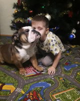 Елена Михайлова