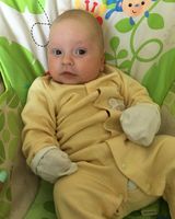 Назарій Добровольський