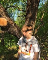 Євгеній Пономаренко