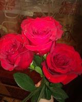 Аня Макарова