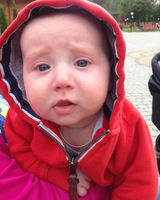 Дмитрий Дрышлюк