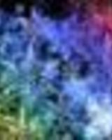 Билецкая Снежана