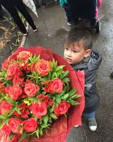 Дарий Набока