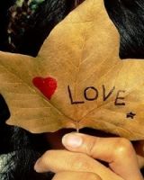 Екатерина Степанюк