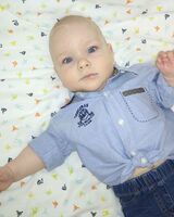 Дмитрий Ивашина