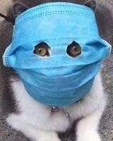 Семён Семёныч
