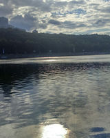 ольга шумейко