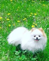 Надежда Миляр