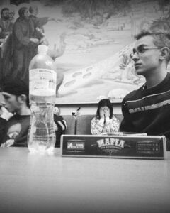 Владислав Тэпаэв