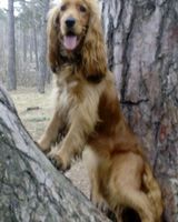 Людмила Андрейшина