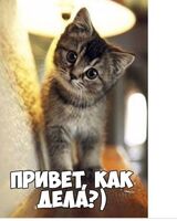 Рома Овдий