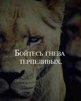 Александр Петров