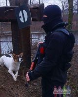 Андрей Мусиенко