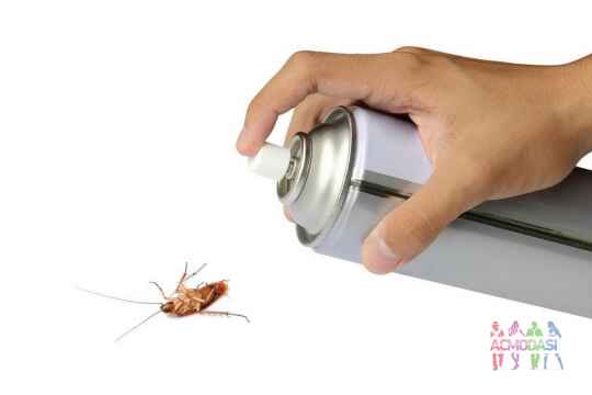 Борьба с тараканами