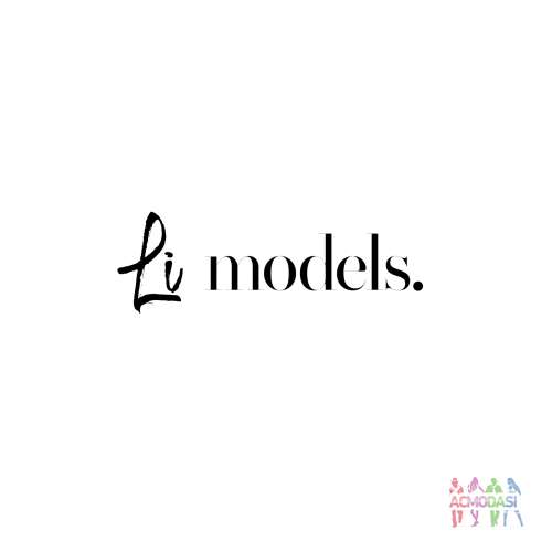 Набор в школу моделей «Li Models»