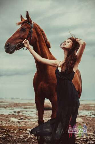 Девушка на фотосессию с лошадьми