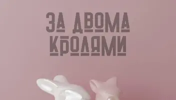 "Запрошуємо вас стати частиною захопливого кіно-проекту "За Двома Кролями"!