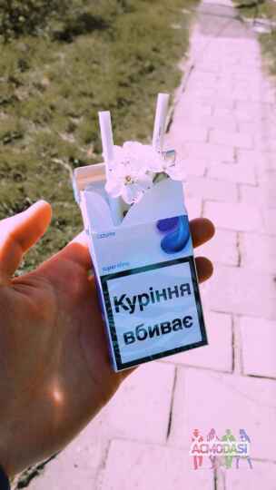 2 дівчинки для відео в інстаграм