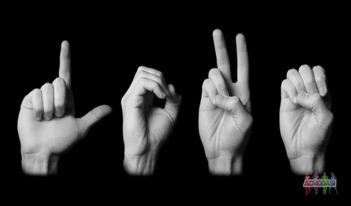 Шукаю людину яка знає мову жестів для студентської роботи.