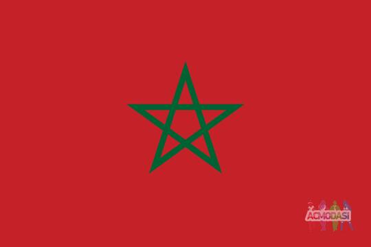 Ищем людей, владеющих языком Арабским / Стандартным марокканским берберским (в идеале - марокканцев).