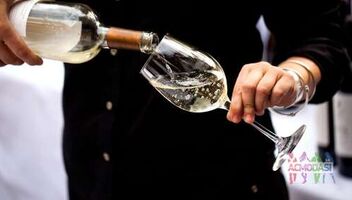 Главные роли в съемке винных игр (парень и девушка)