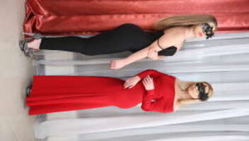 Model Assistant for CEO International Travels