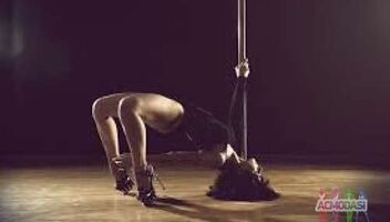 Танцовщицы Pole Dance Exotic, GoGo для официального трудоустройства в Китае