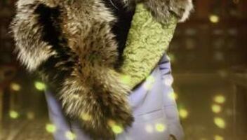 Русая модель 175+ для fashion съемки в одежде бренда AYSINA