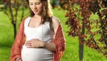 Ищем беременную женщину 
