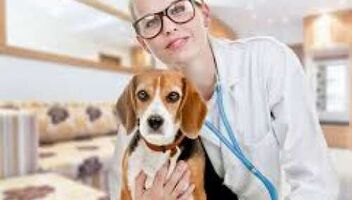 17 декабря, во вторник, с 10 до 14, ТФП съемка для фотобанков &quot;Ветеринар с собакой&quot;