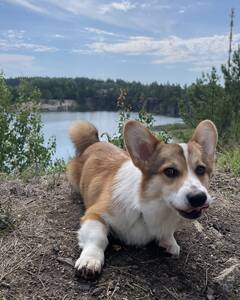 Джордж Ткачук Пристрасть