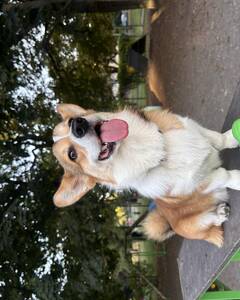 Джордж Ткачук Щастя