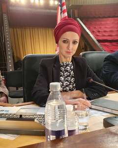 Лина Фараджаллах Скепсис