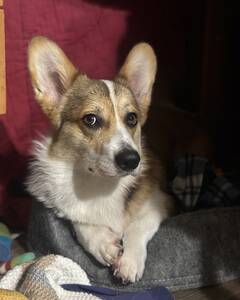 Джордж Ткачук Здивування