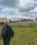 Дмитро Марков Роздратування