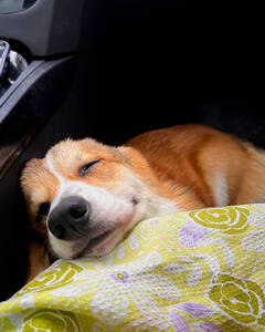 Джордж Ткачук Втома