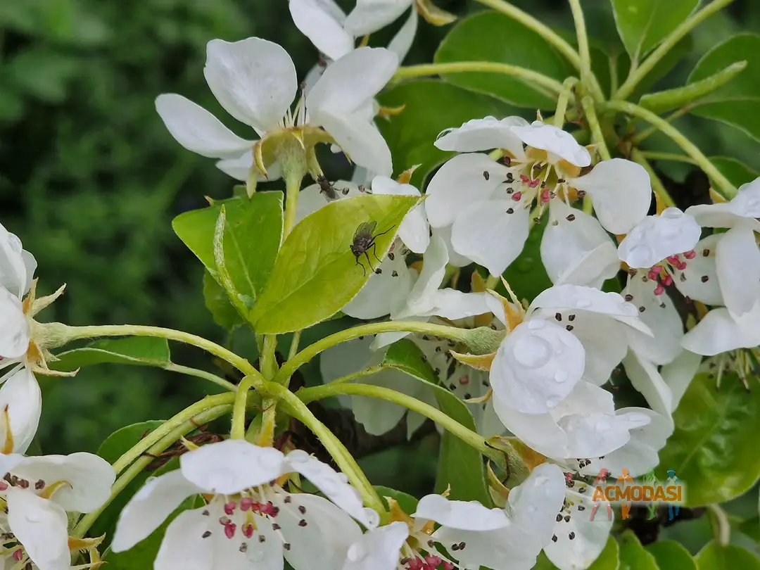 Ігор Іванович Яремченко фото №1753520. Завантажено 27 Лютого 2026